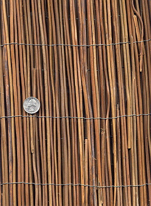 Fern Red Fence (Close-up)