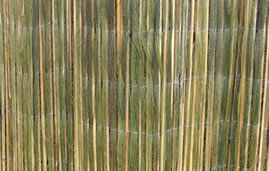 FP-RFF-6 (Open)