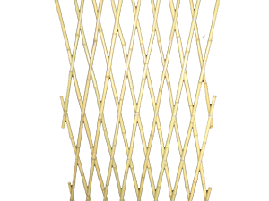 Bamboo Trellis (Open)