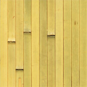 Bamboo Tambour Paneling - Raw Green/Yellow